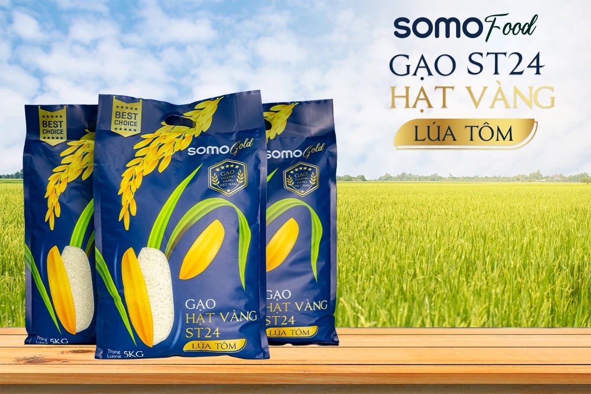 𝑺𝑶𝑴𝑶 𝑮𝑶𝑳𝑫 - Video giới thiệu Đặc Sản Gạo ST24 Hạt Vàng