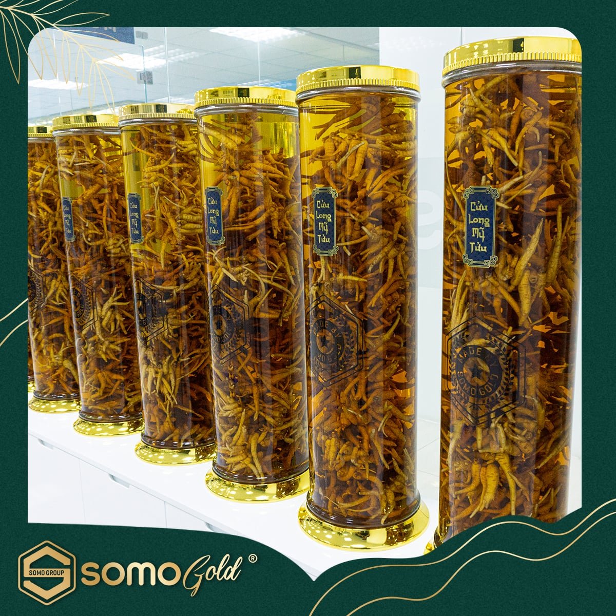 TẠI SAO KHÔNG NÊN NGÂM/BẢO QUẢN RƯỢU TRONG BÌNH NHỰA