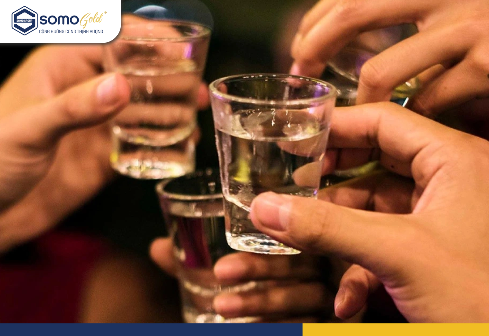 Mẹo uống rượu không say – Giải pháp tăng tửu lượng hiệu quả tại nhà bởi: Somo Gold  02 Tháng 07, 2025  0 Bình luận